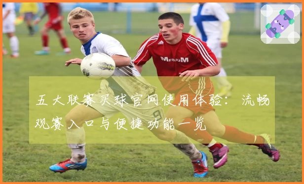 五大联赛买球官网使用体验：流畅观赛入口与便捷功能一览