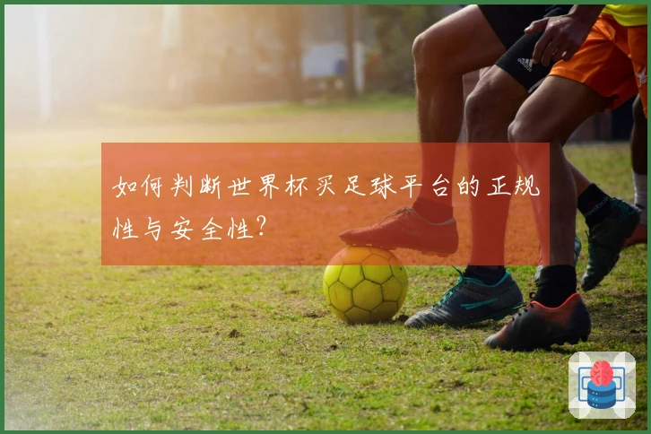 如何判断世界杯买足球平台的正规性与安全性？