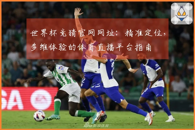 世界杯竞猜官网网址：精准定位，多维体验的体育直播平台指南