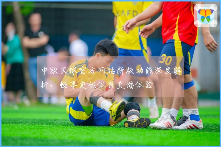 中欧买球官方网站新版功能深度解析，畅享更优体育直播体验