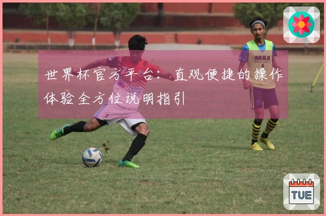 世界杯官方平台：直观便捷的操作体验全方位说明指引