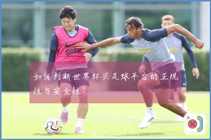 如何判断世界杯买足球平台的正规性与安全性？